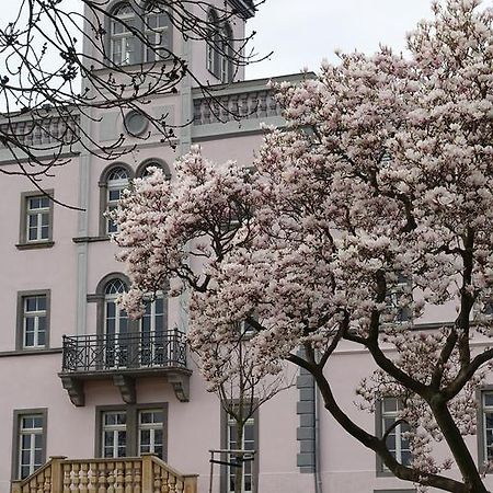 فندق Rittergut Rottewitz Meißen المظهر الخارجي الصورة